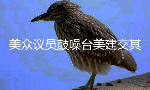 美眾議員鼓噪臺美建交其心可誅——揭秘背后的真相與影響