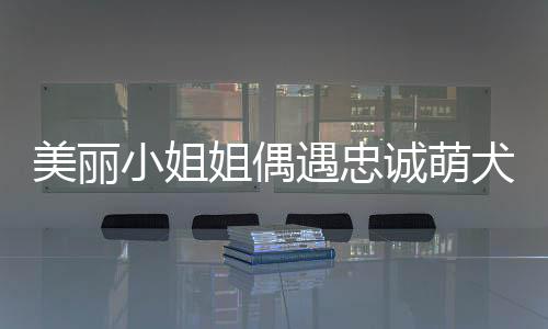 美麗小姐姐偶遇忠誠(chéng)萌犬，深情夸贊引發(fā)意外碰瓷事件