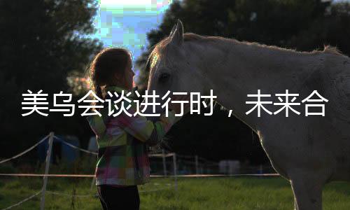美烏會(huì)談進(jìn)行時(shí)，未來合作的走向與談判的變數(shù)