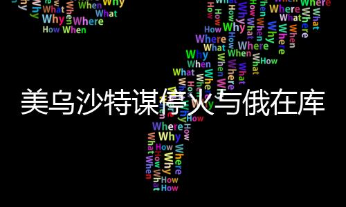 美烏沙特謀停火與俄在庫爾斯克猛攻，國際局勢深度解析
