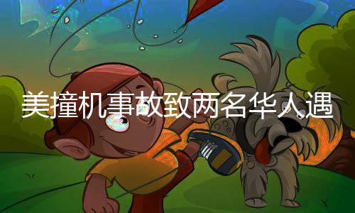 美撞機事故致兩名華人遇難，事故細節(jié)及后續(xù)關注一覽