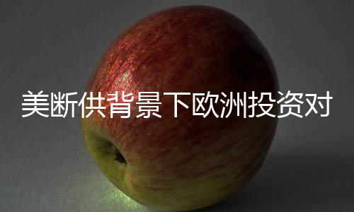 美斷供背景下歐洲投資對(duì)烏克蘭持久性的影響分析