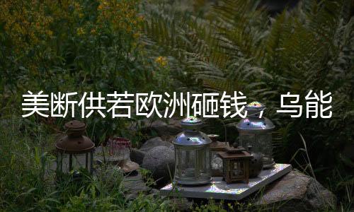 美斷供若歐洲砸錢，烏能否堅(jiān)持下去？