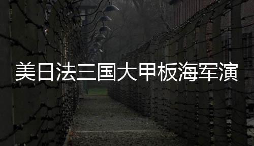 美日法三國大甲板海軍演習(xí)圓滿結(jié)束，三國海軍力量展示與合作深化