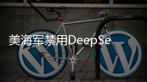 美海軍禁用DeepSeek技術(shù)，深度探討背后的原因與影響
