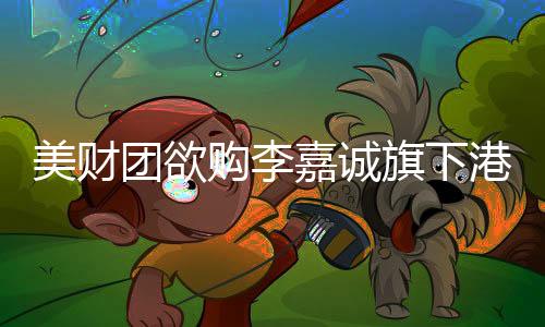 美財(cái)團(tuán)欲購李嘉誠旗下港口版圖，究竟有何圖謀？揭秘潛在策略及背景分析