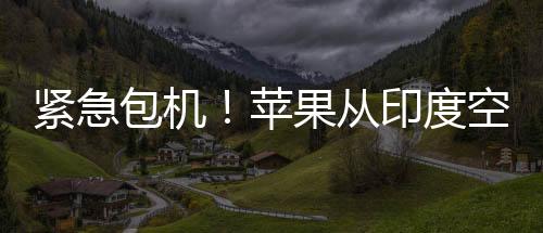 緊急包機(jī)！蘋(píng)果從印度空運(yùn)600噸iPhone