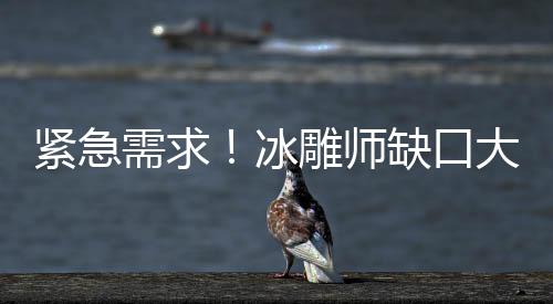 緊急需求！冰雕師缺口大，日薪高達3500元！