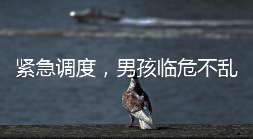 緊急調(diào)度，男孩臨危不亂，在家為母親接生，120調(diào)度員的遠(yuǎn)程指導(dǎo)顯成效