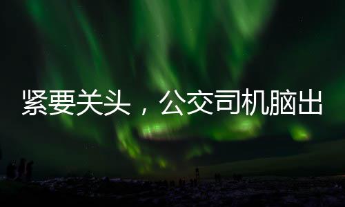 緊要關(guān)頭，公交司機(jī)腦出血仍堅(jiān)守職責(zé)——生命之手守護(hù)乘客安全