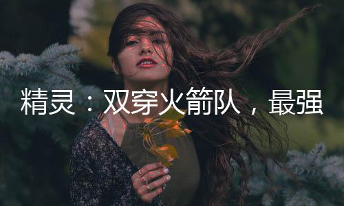 精靈：雙穿火箭隊，最強掌門人