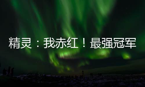 精靈：我赤紅！最強(qiáng)冠軍！
