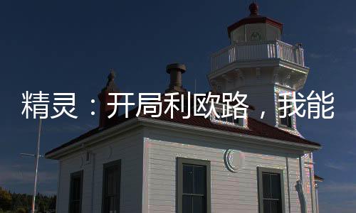 精靈：開局利歐路，我能升級詞條