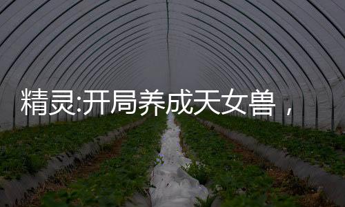 精靈:開局養(yǎng)成天女獸，擇日成親