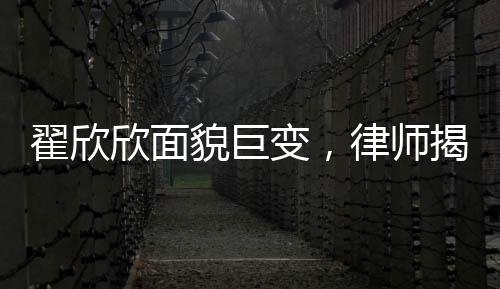 翟欣欣面貌巨變，律師揭示背后故事