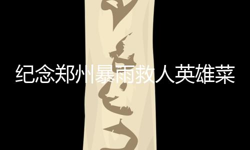 紀(jì)念鄭州暴雨救人英雄菜刀哥，英雄雖逝，精神永存