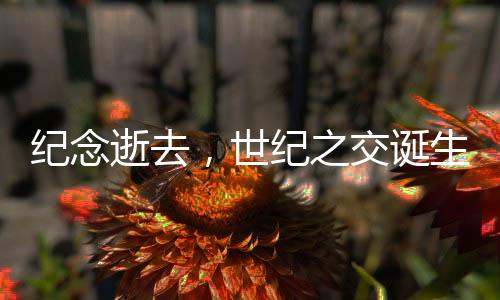 紀(jì)念逝去，世紀(jì)之交誕生的生命離世哀悼