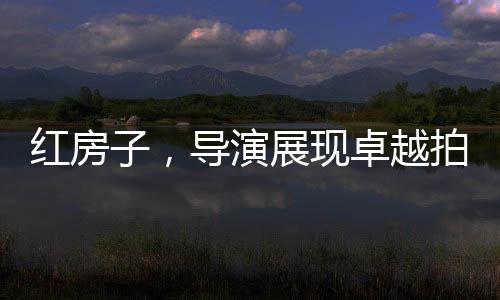 紅房子，導(dǎo)演展現(xiàn)卓越拍攝才華