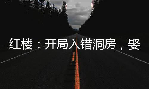 紅樓：開局入錯(cuò)洞房，娶妻王熙鳳