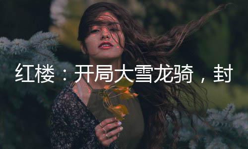 紅樓：開(kāi)局大雪龍騎，封狼居胥