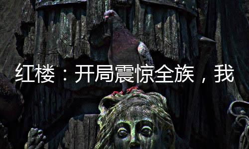 紅樓：開局震驚全族，我悟性逆天