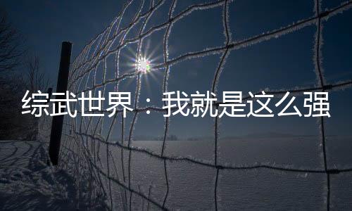 綜武世界：我就是這么強大