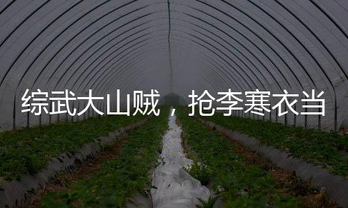 綜武大山賊，搶李寒衣當(dāng)壓寨夫人
