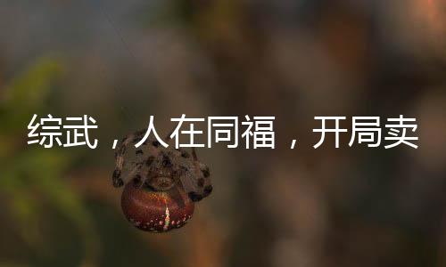 綜武，人在同福，開(kāi)局賣琴為生