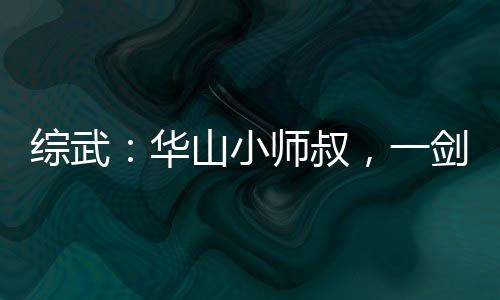 綜武：華山小師叔，一劍壓天下