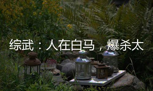綜武：人在白馬，爆殺太安帝！