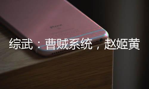 綜武：曹賊系統(tǒng)，趙姬黃蓉潘金蓮