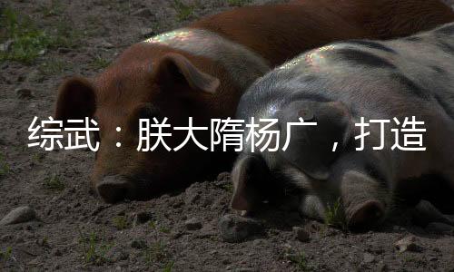 綜武：朕大隋楊廣，打造至高天庭