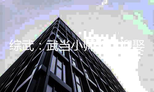 綜武：武當(dāng)小師叔，迎娶李寒衣