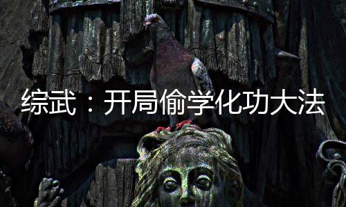 綜武：開局偷學(xué)化功大法