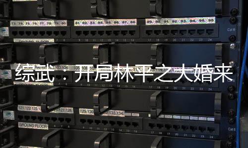 綜武：開局林平之大婚來(lái)求經(jīng)
