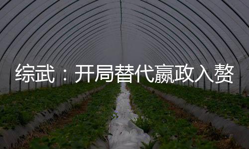 綜武：開局替代嬴政入贅徐謂熊