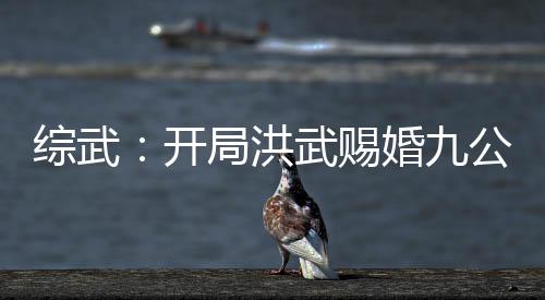 綜武：開局洪武賜婚九公主