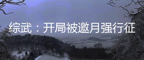 綜武：開局被邀月強(qiáng)行征服