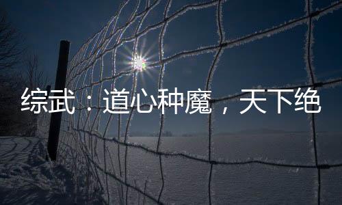 綜武：道心種魔，天下絕倫！
