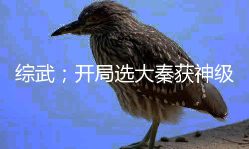 綜武；開局選大秦獲神級系統(tǒng)