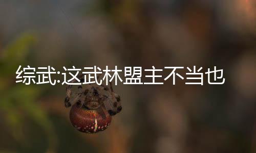 綜武:這武林盟主不當(dāng)也罷！