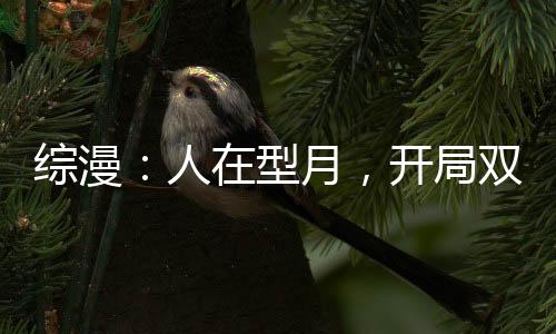 綜漫：人在型月，開局雙穿木葉