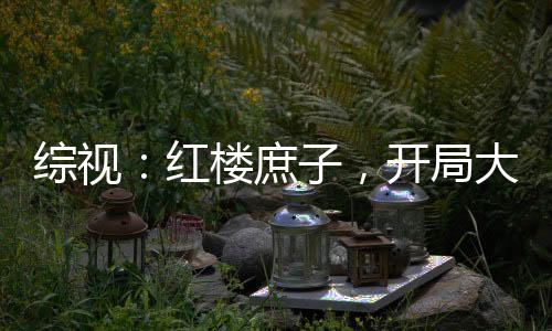綜視：紅樓庶子，開局大雪龍騎