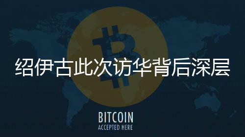 紹伊古此次訪華背后深層次分析，中俄合作新動(dòng)向