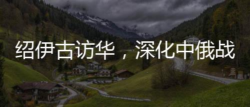 紹伊古訪華，深化中俄戰(zhàn)略合作的嶄新篇章