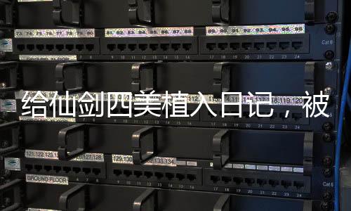 給仙劍四美植入日記，被玩壞了