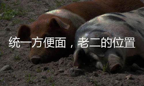 統(tǒng)一方便面，老二的位置岌岌可危