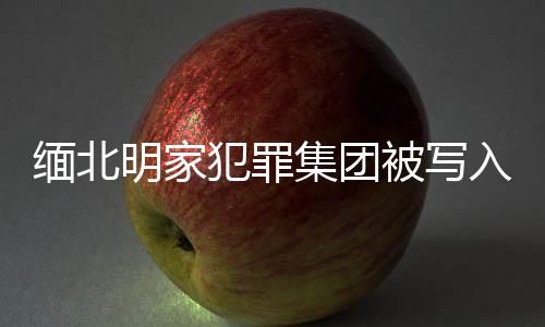 緬北明家犯罪集團被寫入最高檢報告，揭示犯罪勢力新動態(tài)及嚴厲打擊決心