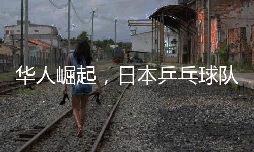 華人崛起，日本乒乓球隊(duì)新任女隊(duì)主教練揭曉，46歲華人肩負(fù)重任
