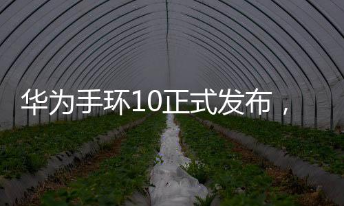 華為手環(huán)10正式發(fā)布，引領(lǐng)智能穿戴設(shè)備新潮流